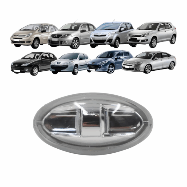 Pisca Peugeot 207 307 C3 Com Soquete Lateral BapImports